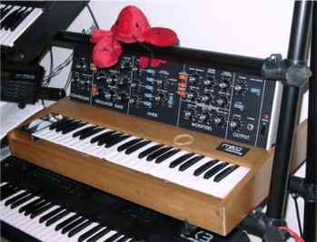 Lulu the Lobster on a Minimoog